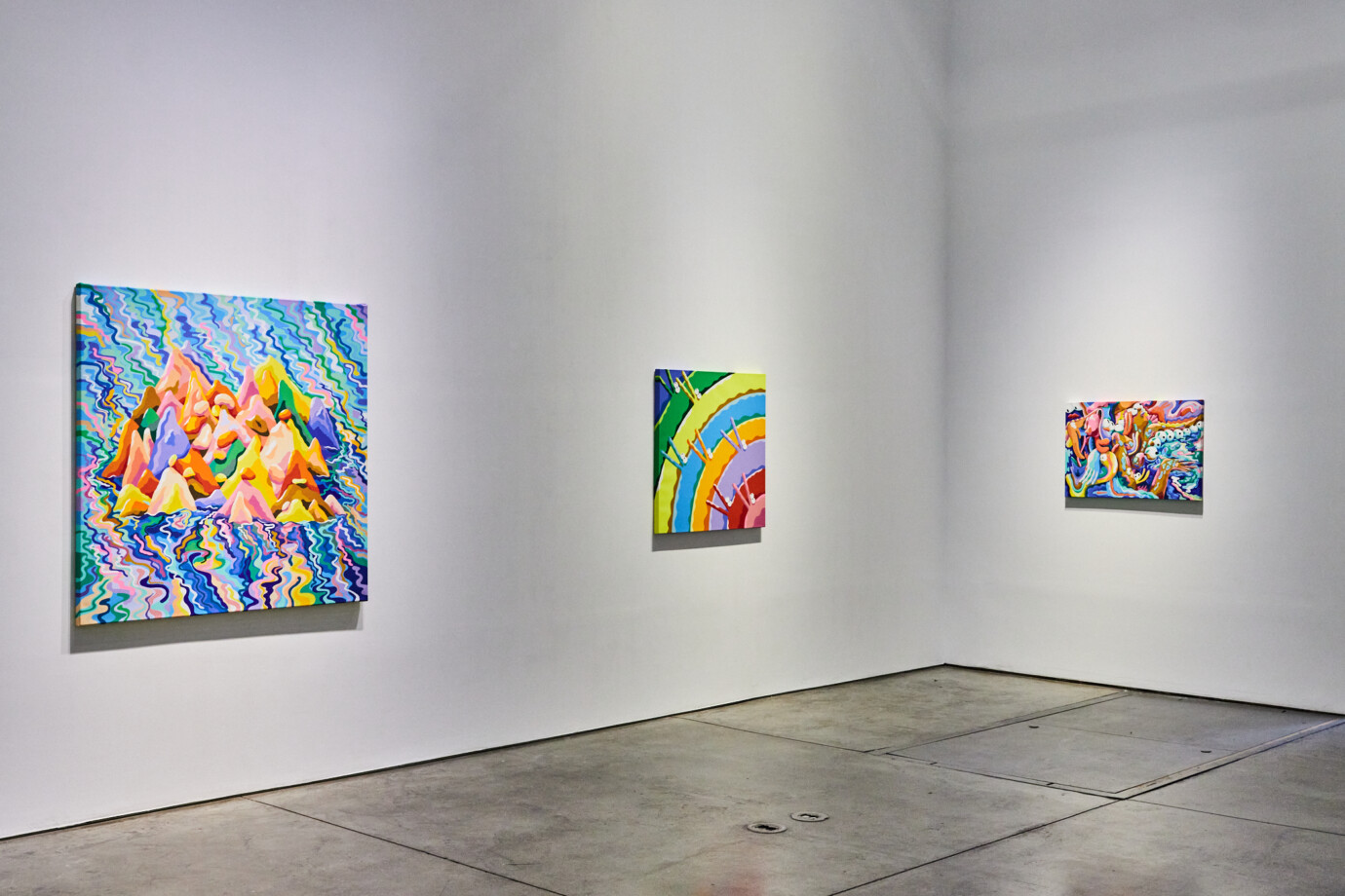 Installation View of Mike Perry's 